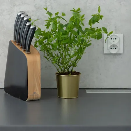 Apartman Unique In With Parking, Sauna And Gym By Renters *